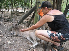 120 Cairns Tropical Zoo